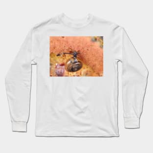 Tiny snail on mushroom Long Sleeve T-Shirt